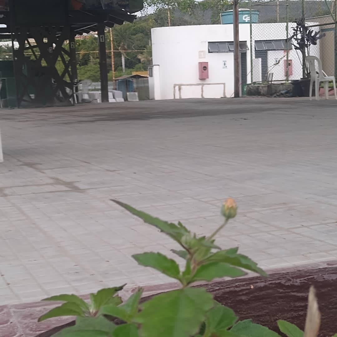 149722005 3963745067011701 7529495208598769914 o